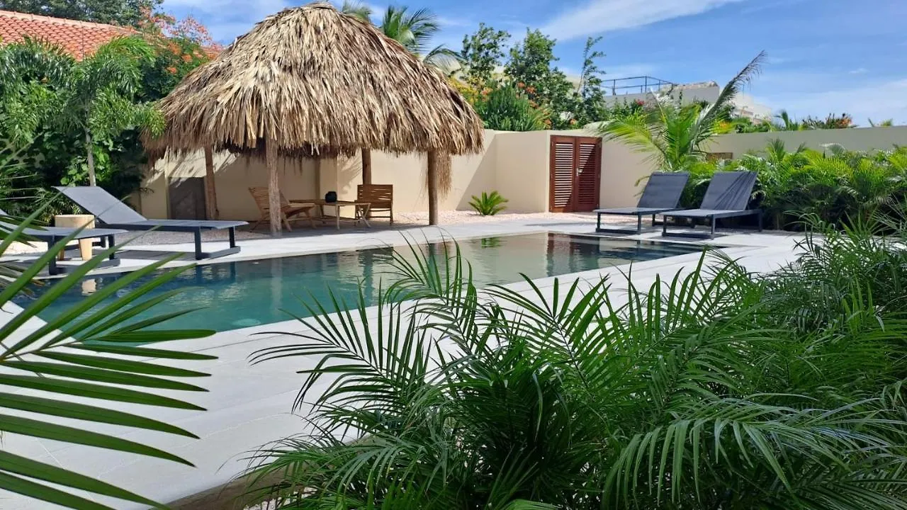 Belnem Garden Residence Kralendijk na wyspie Bonaire 0*,  Bonaire, Saint Eustatius i Saba